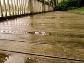 Rainy Boardwalk